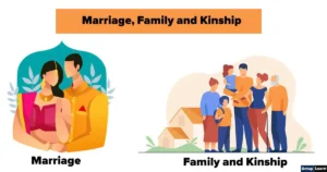 Kinship structure in sociology 2